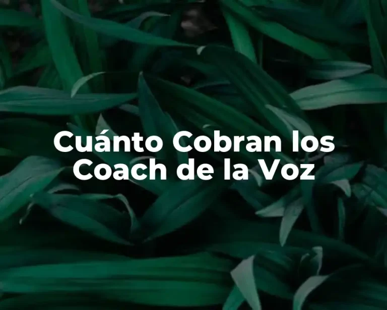 Cuánto Cobran los Coach de la Voz