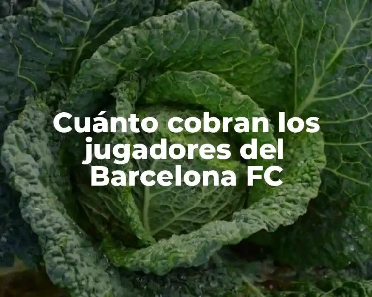 Cuánto cobran los jugadores del Barcelona FC