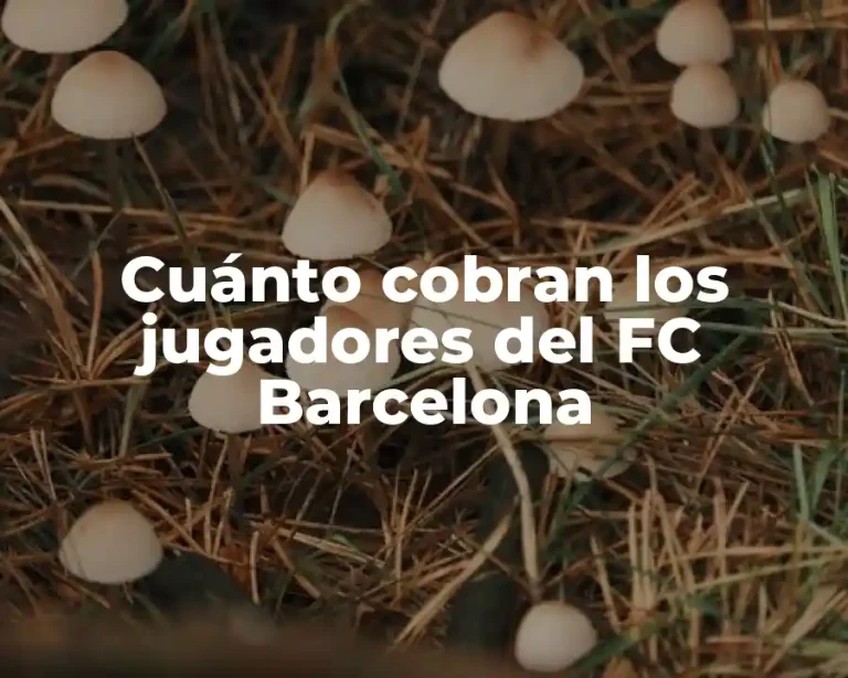 Cuánto cobran los jugadores del FC Barcelona