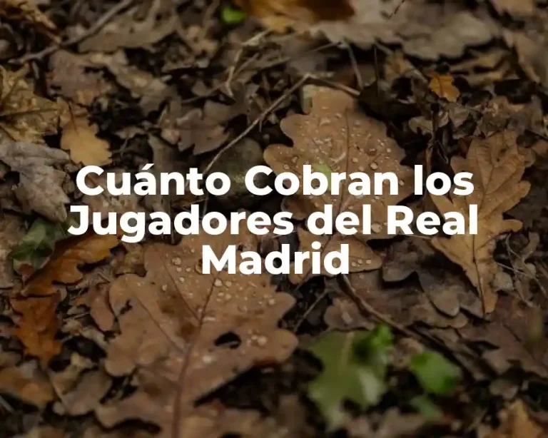 Cuánto Cobran los Jugadores del Real Madrid