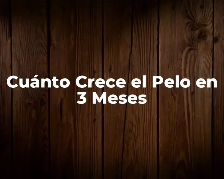 Cuánto Crece el Pelo en 3 Meses