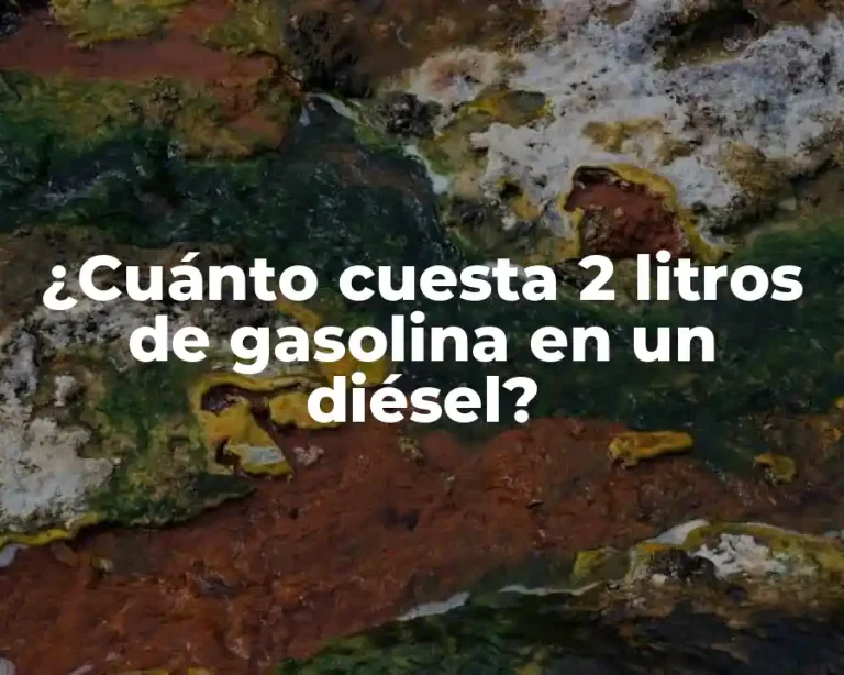 ¿Cuánto cuesta 2 litros de gasolina en un diésel?