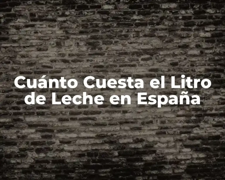 Cuánto Cuesta el Litro de Leche en España