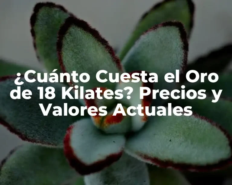 ¿Cuánto Cuesta el Oro de 18 Kilates? Precios y Valores Actuales