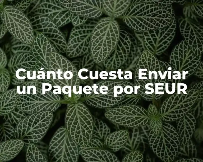 Cuánto Cuesta Enviar un Paquete por SEUR
