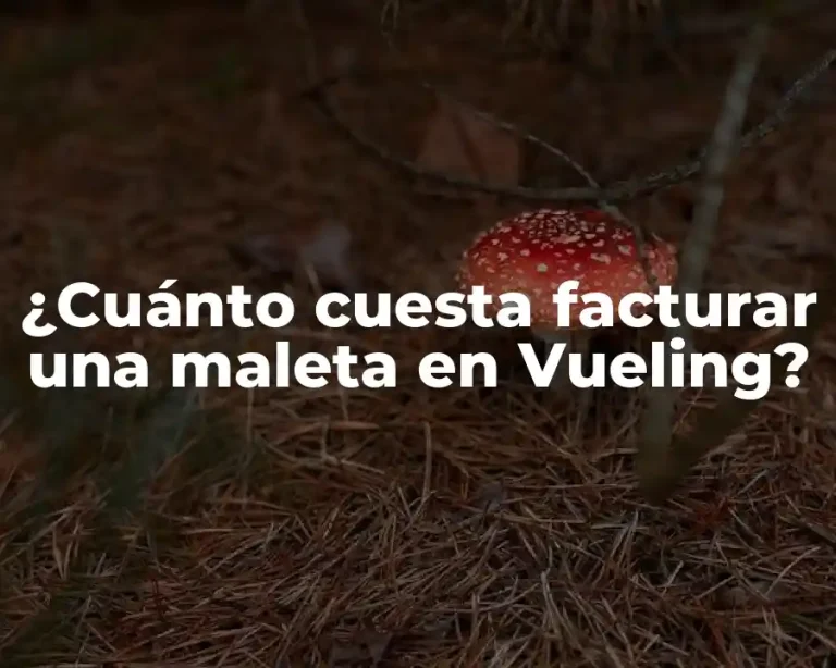 ¿Cuánto cuesta facturar una maleta en Vueling?