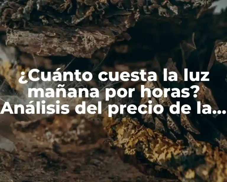 ¿Cuánto cuesta la luz mañana por horas? Análisis del precio de la luz por hora