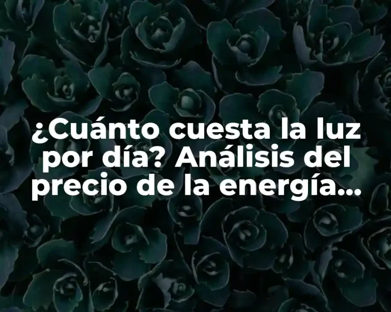 ¿Cuánto cuesta la luz por día? Análisis del precio de la energía eléctrica
