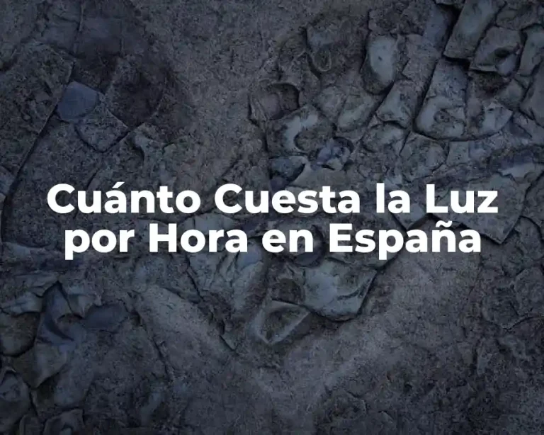 Cuánto Cuesta la Luz por Hora en España