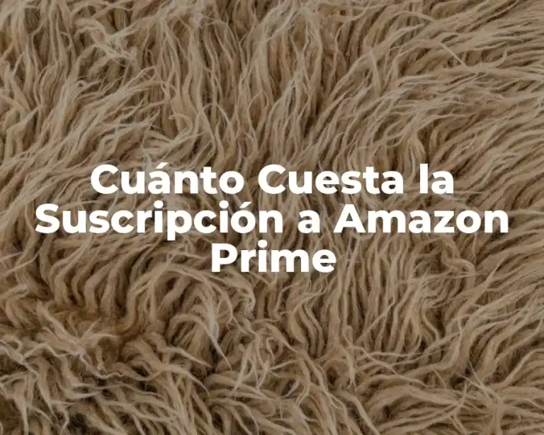 Cuánto Cuesta la Suscripción a Amazon Prime