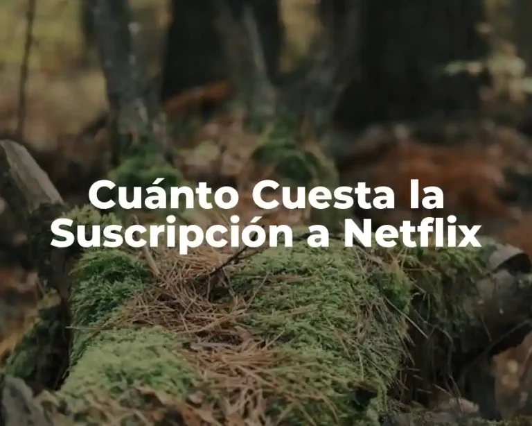 Cuánto Cuesta la Suscripción a Netflix