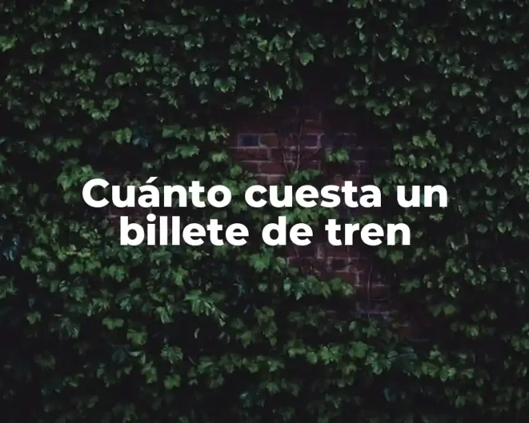 Cuánto cuesta un billete de tren