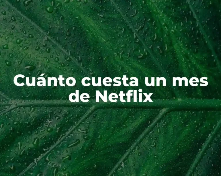 Cuánto cuesta un mes de Netflix