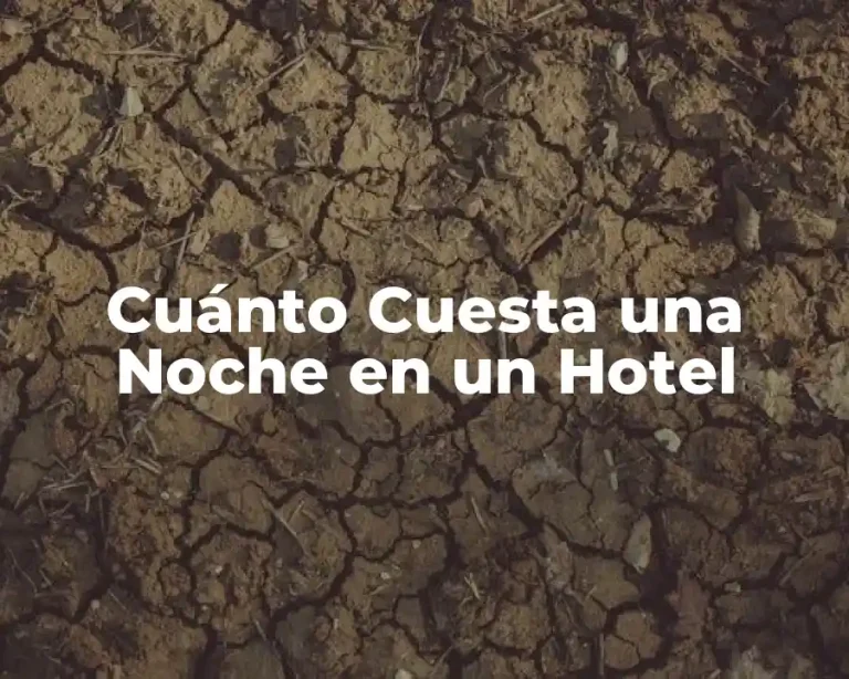 Cuánto Cuesta una Noche en un Hotel