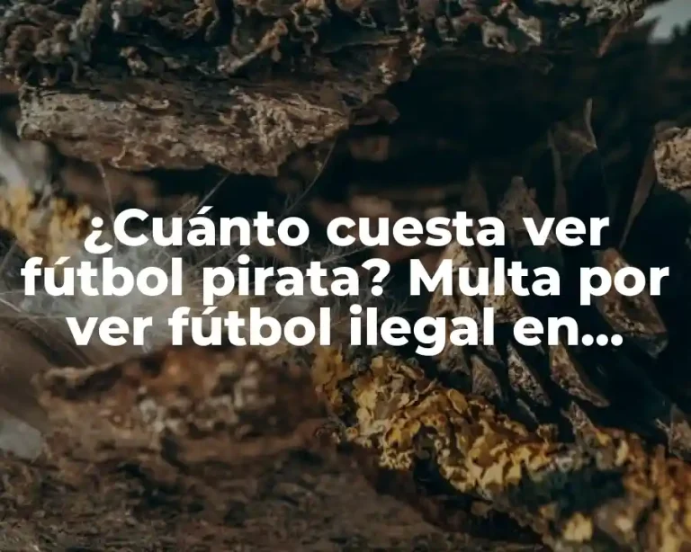 ¿Cuánto cuesta ver fútbol pirata? Multa por ver fútbol ilegal en España