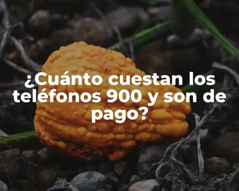 ¿Cuánto cuestan los teléfonos 900 y son de pago?