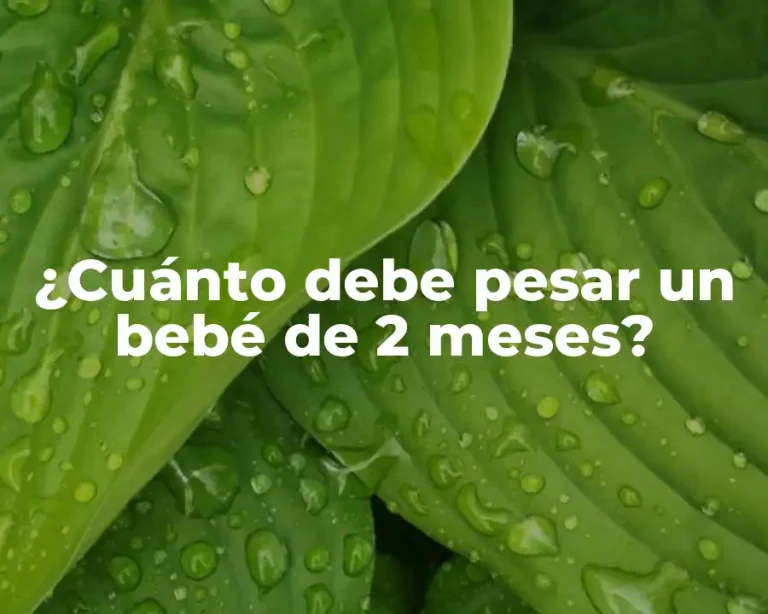 ¿Cuánto debe pesar un bebé de 2 meses?