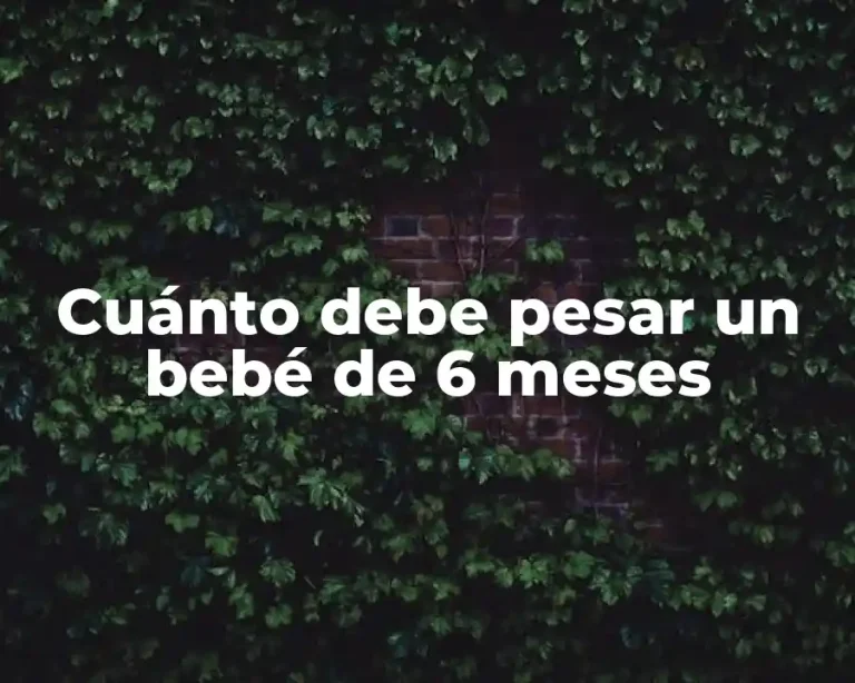Cuánto debe pesar un bebé de 6 meses