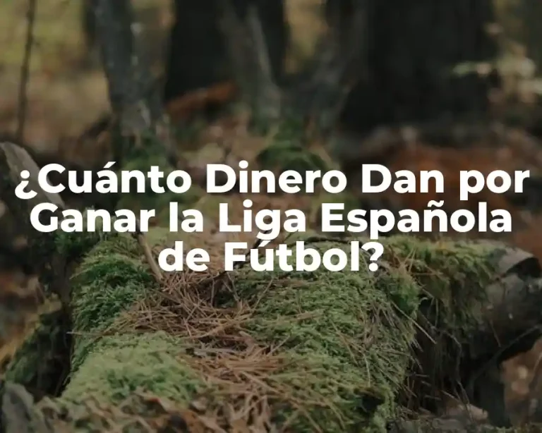 ¿Cuánto Dinero Dan por Ganar la Liga Española de Fútbol?