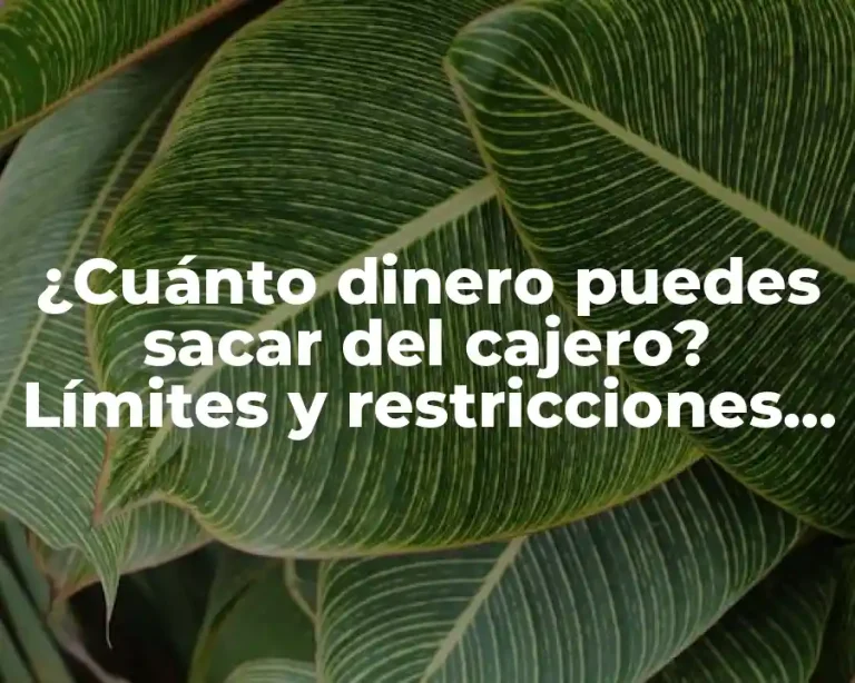 ¿Cuánto dinero puedes sacar del cajero? Límites y restricciones de extracción de efectivo