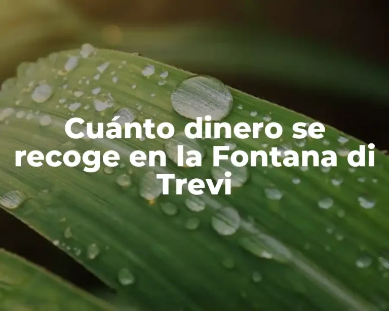Cuánto dinero se recoge en la Fontana di Trevi