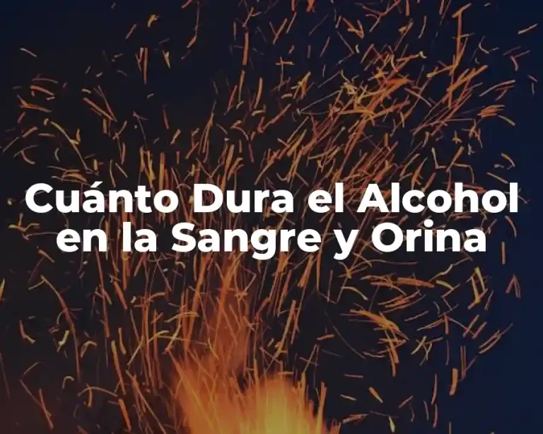 Cuánto Dura el Alcohol en la Sangre y Orina