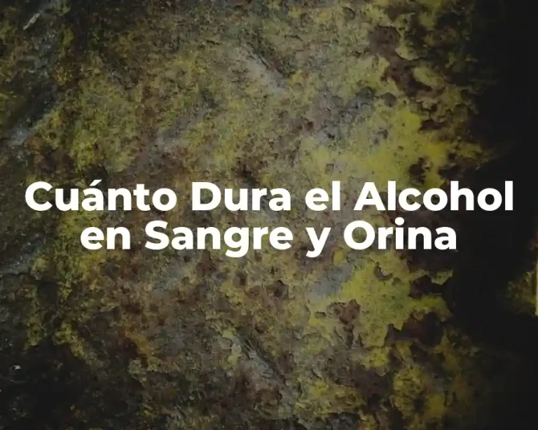 Cuánto Dura el Alcohol en Sangre y Orina