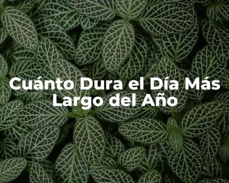 Cuánto Dura el Día Más Largo del Año
