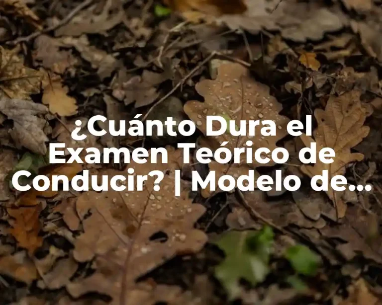¿Cuánto Dura el Examen Teórico de Conducir? | Modelo de Examen y Tiempo de Duración