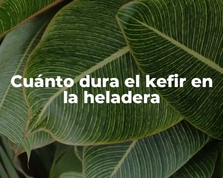 Cuánto dura el kefir en la heladera