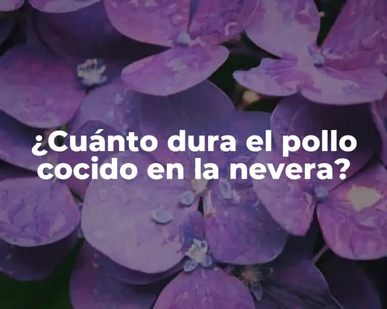 ¿Cuánto dura el pollo cocido en la nevera?