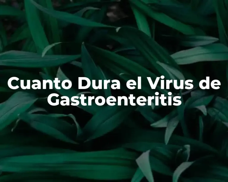 Cuanto Dura el Virus de Gastroenteritis