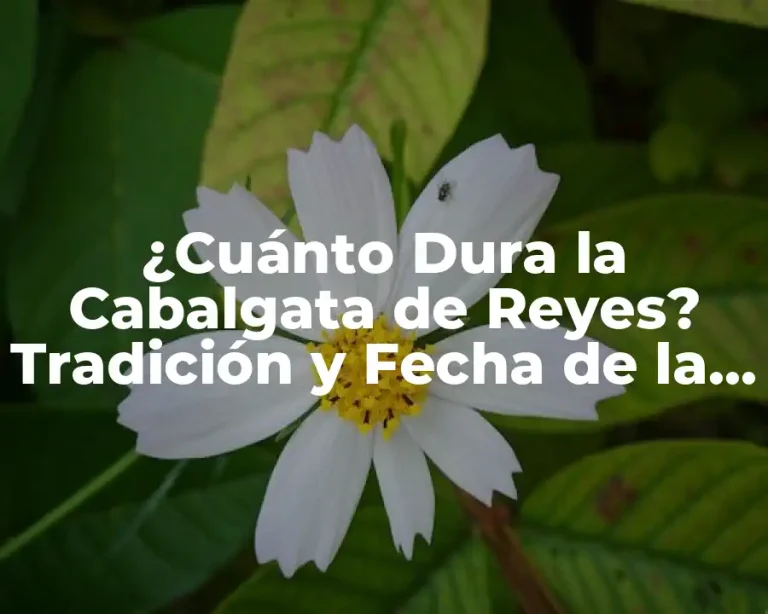 ¿Cuánto Dura la Cabalgata de Reyes? Tradición y Fecha de la Fiesta