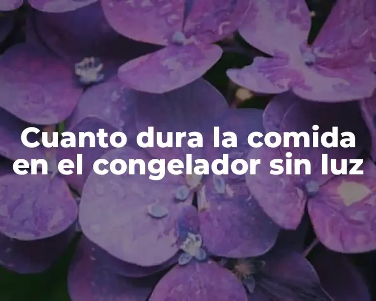 Cuanto dura la comida en el congelador sin luz