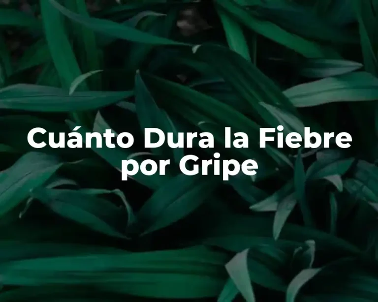 Cuánto Dura la Fiebre por Gripe