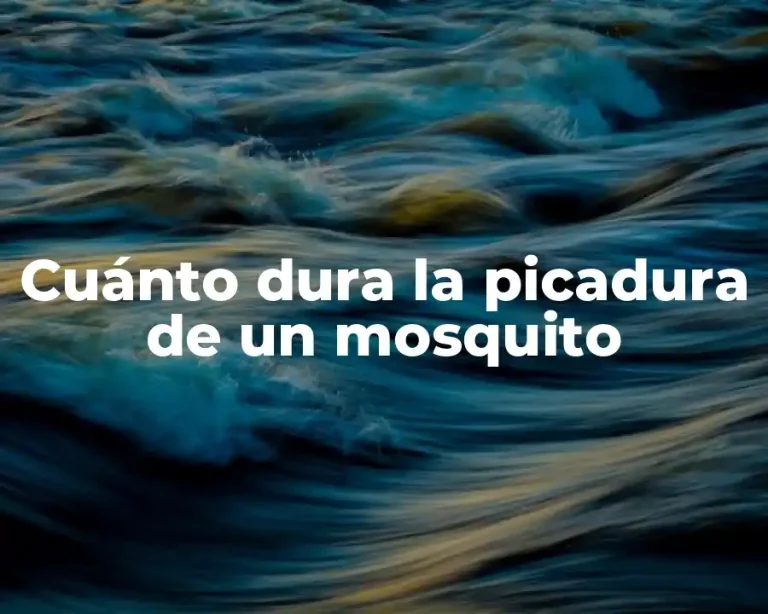 Cuánto dura la picadura de un mosquito