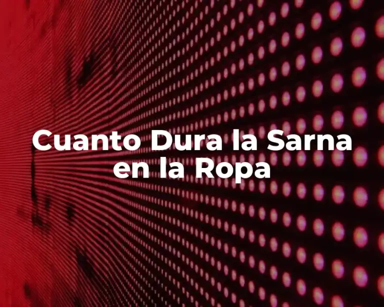 Cuanto Dura la Sarna en la Ropa