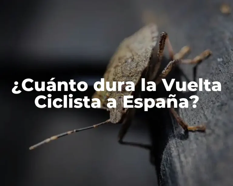 ¿Cuánto dura la Vuelta Ciclista a España?