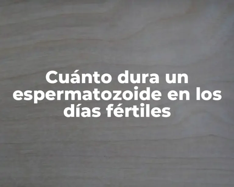 Cuánto dura un espermatozoide en los días fértiles