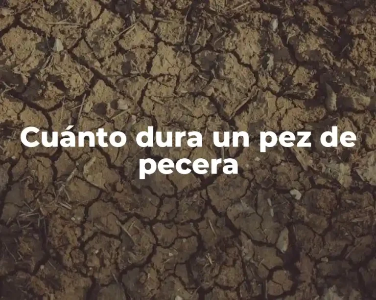 Cuánto dura un pez de pecera