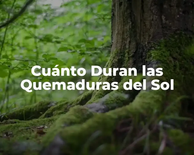 Cuánto Duran las Quemaduras del Sol