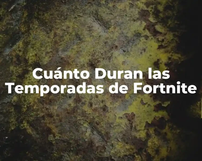 Cuánto Duran las Temporadas de Fortnite