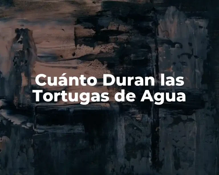 Cuánto Duran las Tortugas de Agua