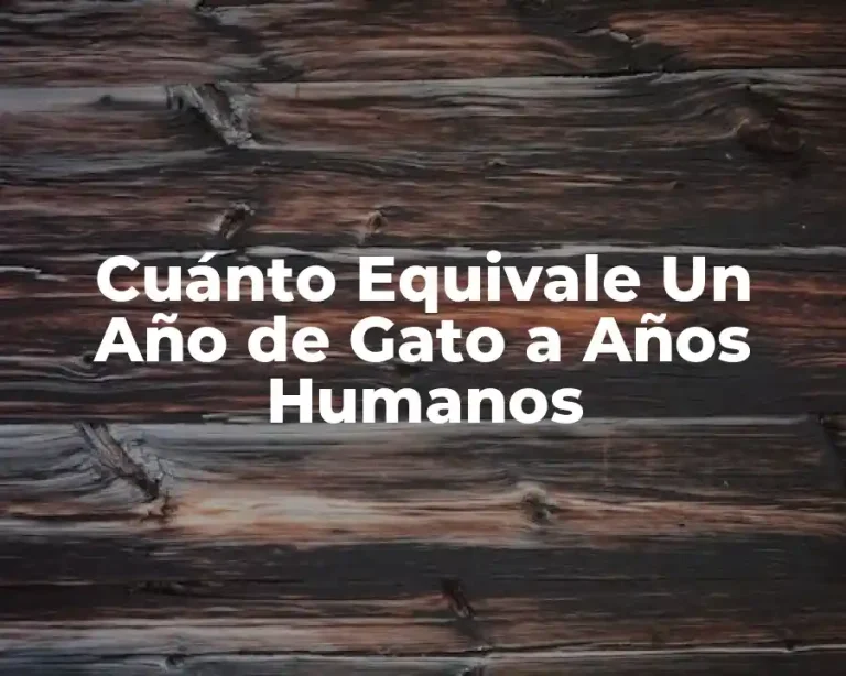 Cuánto Equivale Un Año de Gato a Años Humanos