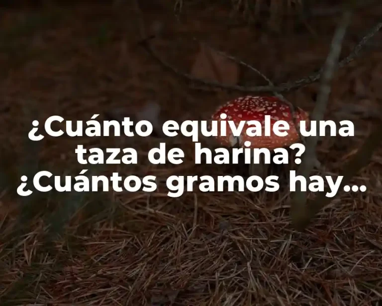 ¿Cuánto equivale una taza de harina? ¿Cuántos gramos hay en una taza de harina?