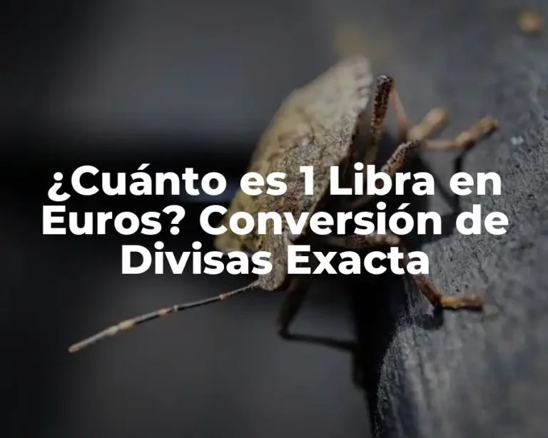 ¿Cuánto es 1 Libra en Euros? Conversión de Divisas Exacta