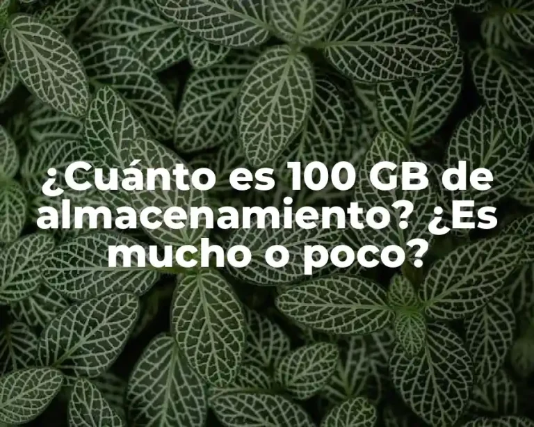 ¿Cuánto es 100 GB de almacenamiento? ¿Es mucho o poco?