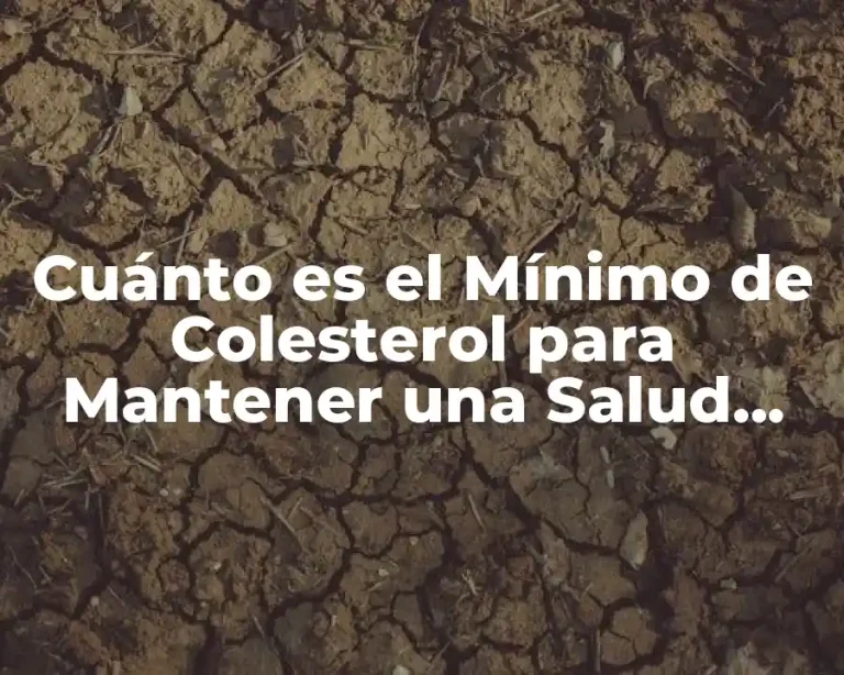 Cuánto es el Mínimo de Colesterol para Mantener una Salud Óptima