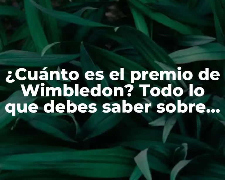 ¿Cuánto es el premio de Wimbledon? Todo lo que debes saber sobre el dinero en el tenis de élite