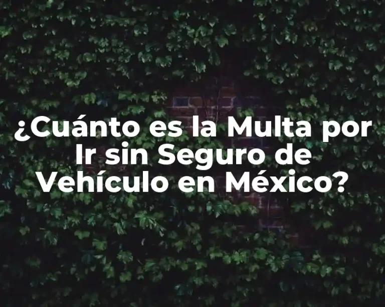 ¿Cuánto es la Multa por Ir sin Seguro de Vehículo en México?